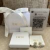 Dior Tribales Earrings