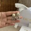 Dior Tribales Earrings - Image 7