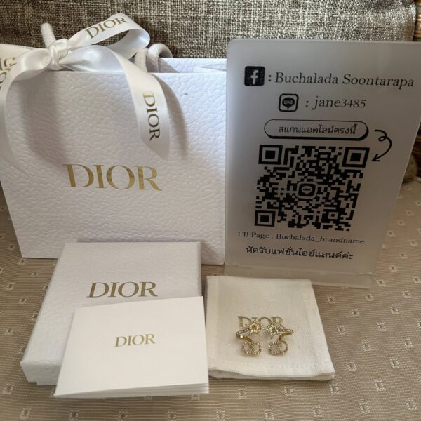 Dior Clair D Lune Earrings - Image 4