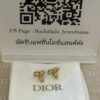 Dior Mini Petit - Image 8