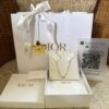 Dior Clair D Lune Necklace - Image 2