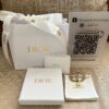 Dior 30 Montaigne hair clip
