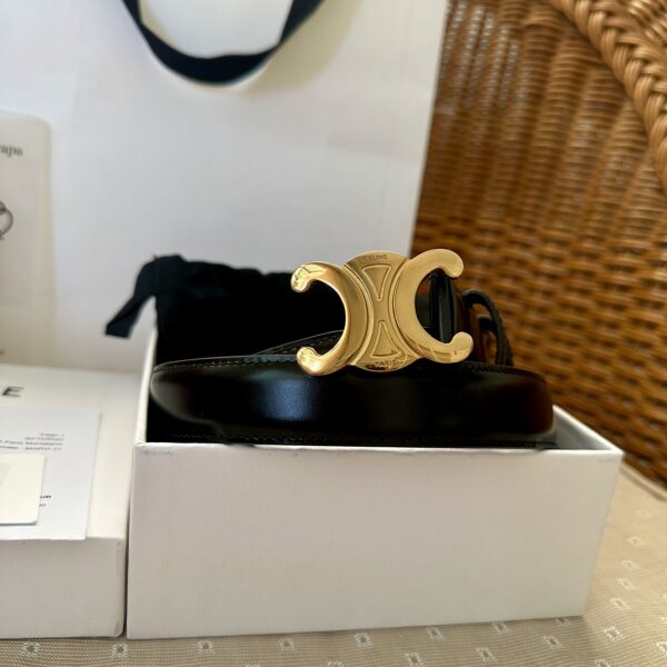 Celine Triomphe Belt - Image 12