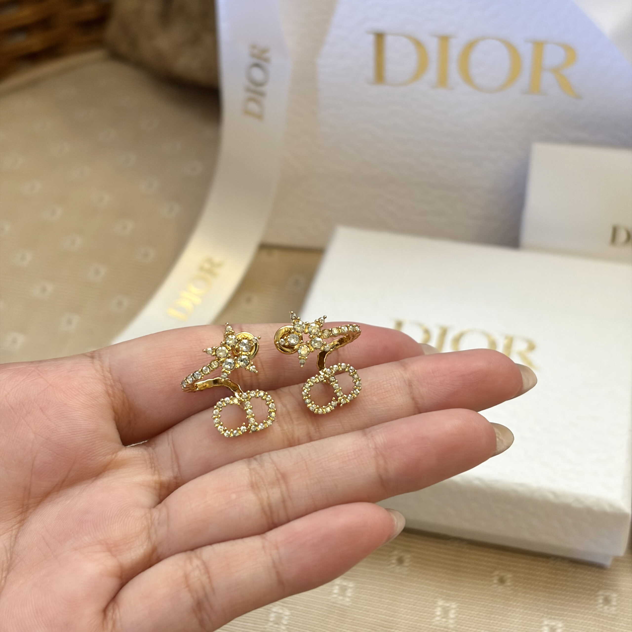 Dior Clair D Lune Earrings - Image 6