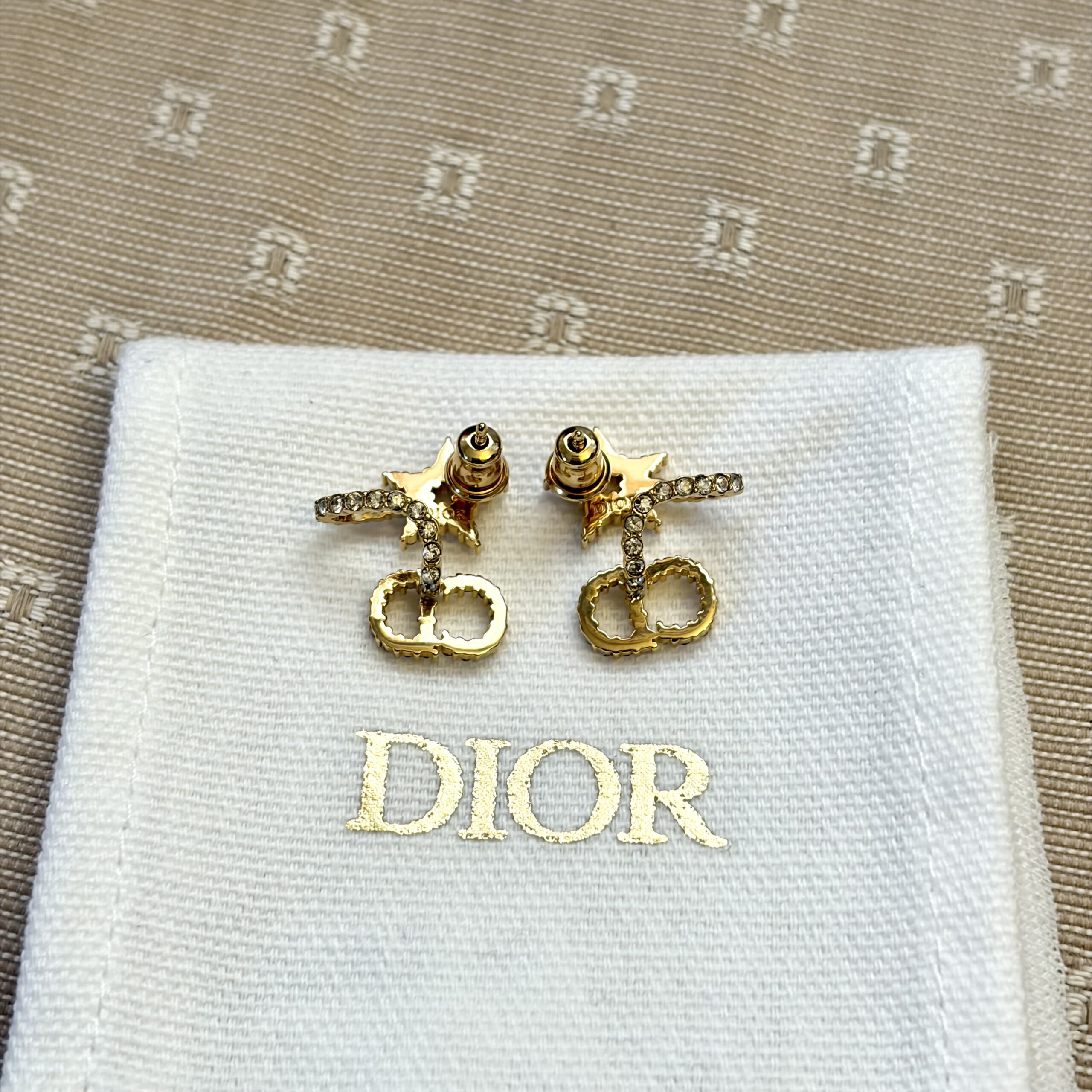 Dior Clair D Lune Earrings - Image 5