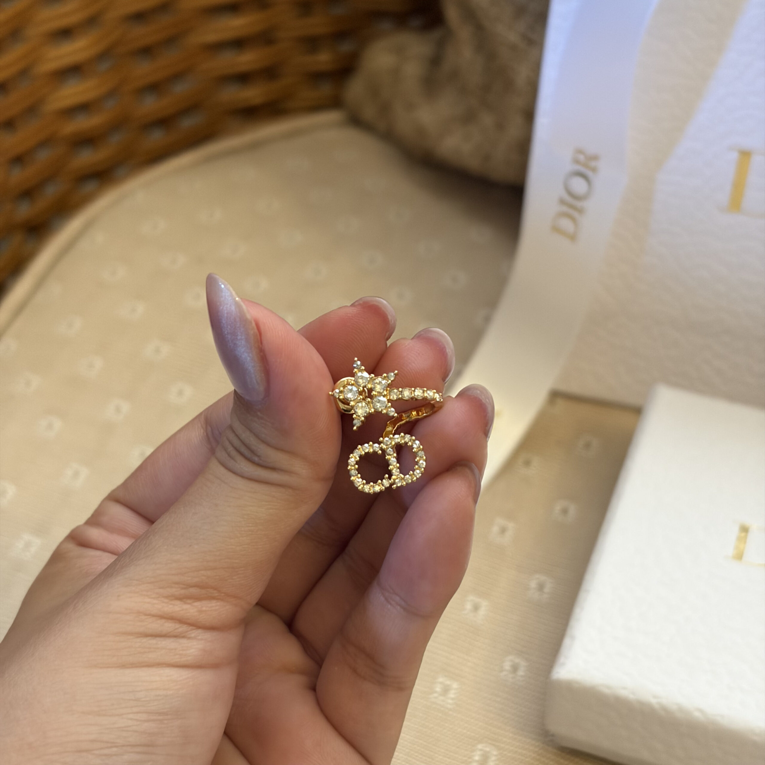 Dior Clair D Lune Earrings - Image 4